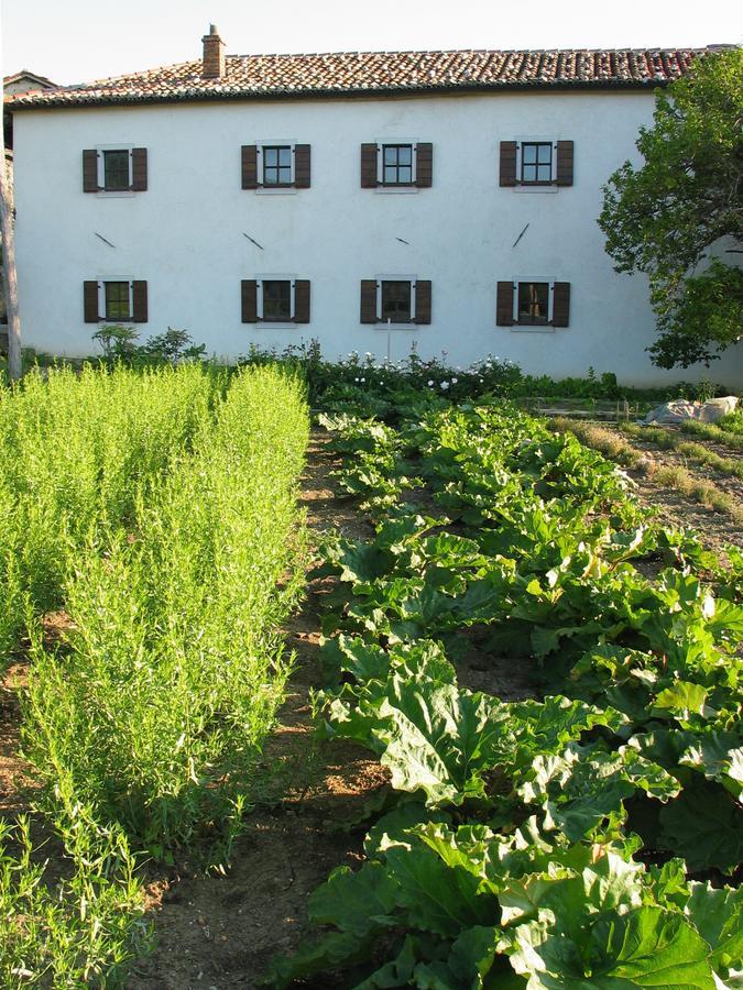 Majerija Otel Vipava Oda fotoğraf